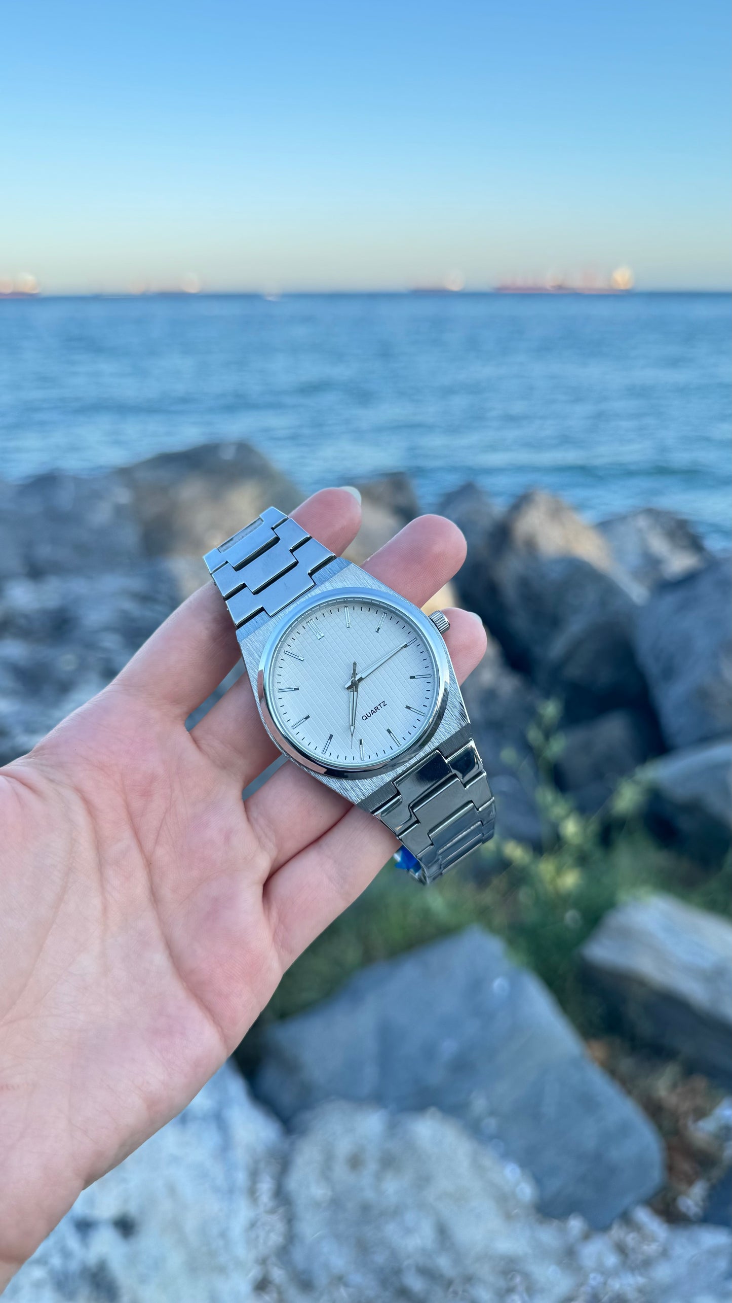 TS Model ÇELİK Kordon Erkek Saat