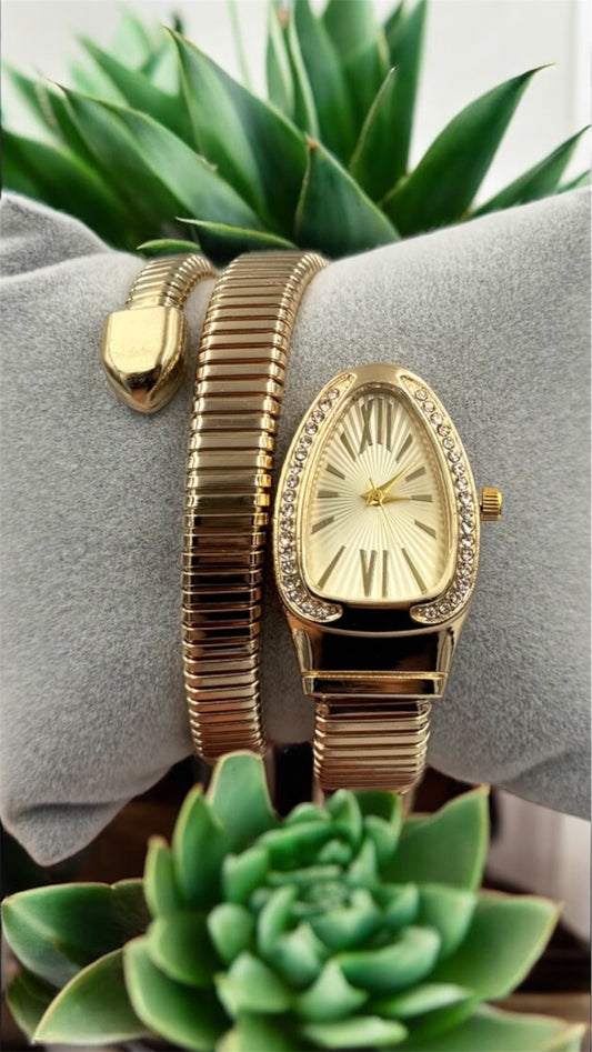 İnce Yılanlı Saat