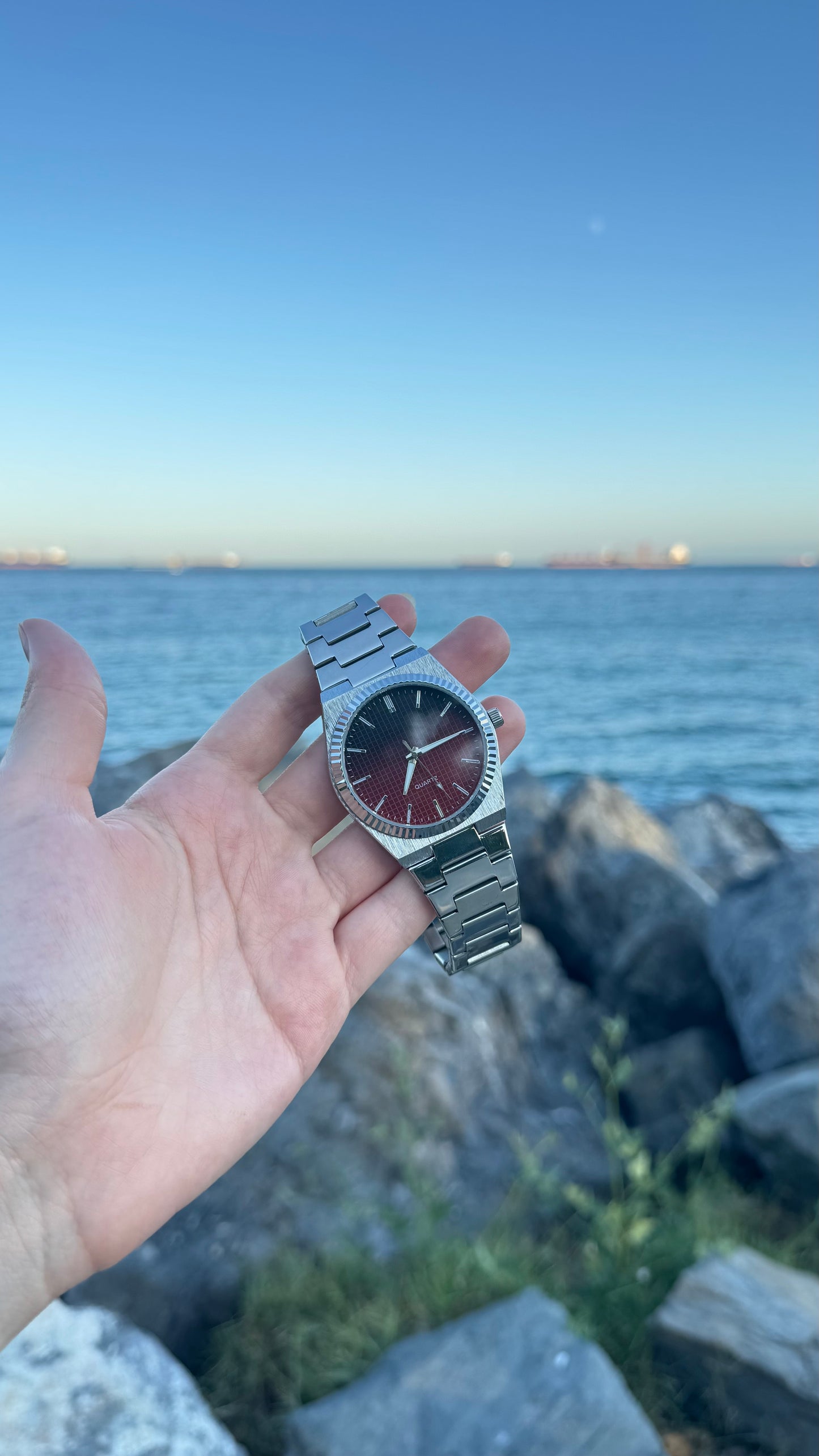 TS Model ÇELİK Kordon Erkek Saat